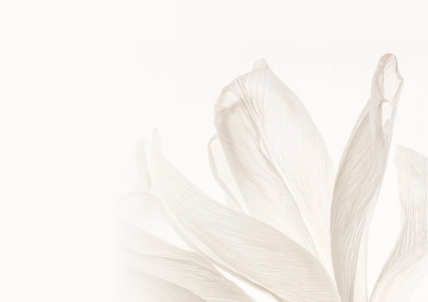 Bộ chai nước hoa